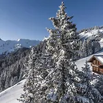 Golmerhaus Nyaraló *