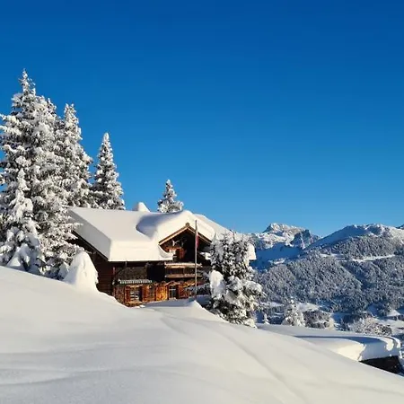 Golmerhaus Holiday home *